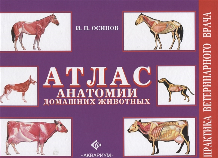 

Атлас анатомии домашних животных (1807553)