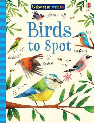 

Birds to Spot