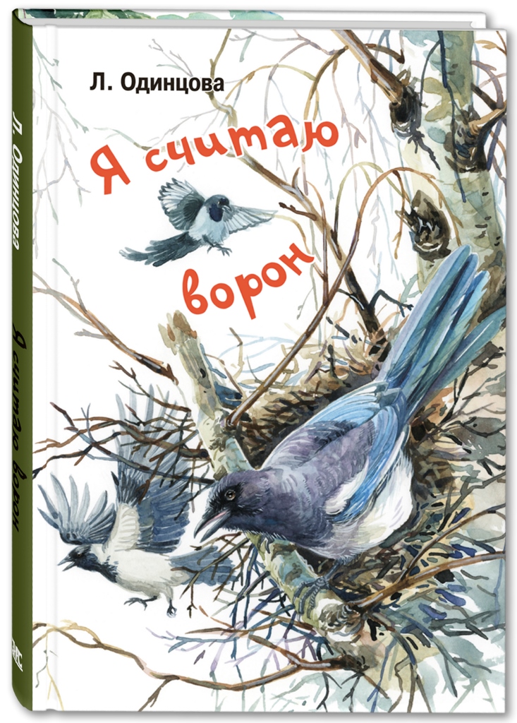 

Я считаю ворон. Две истории из жизни птиц и людей