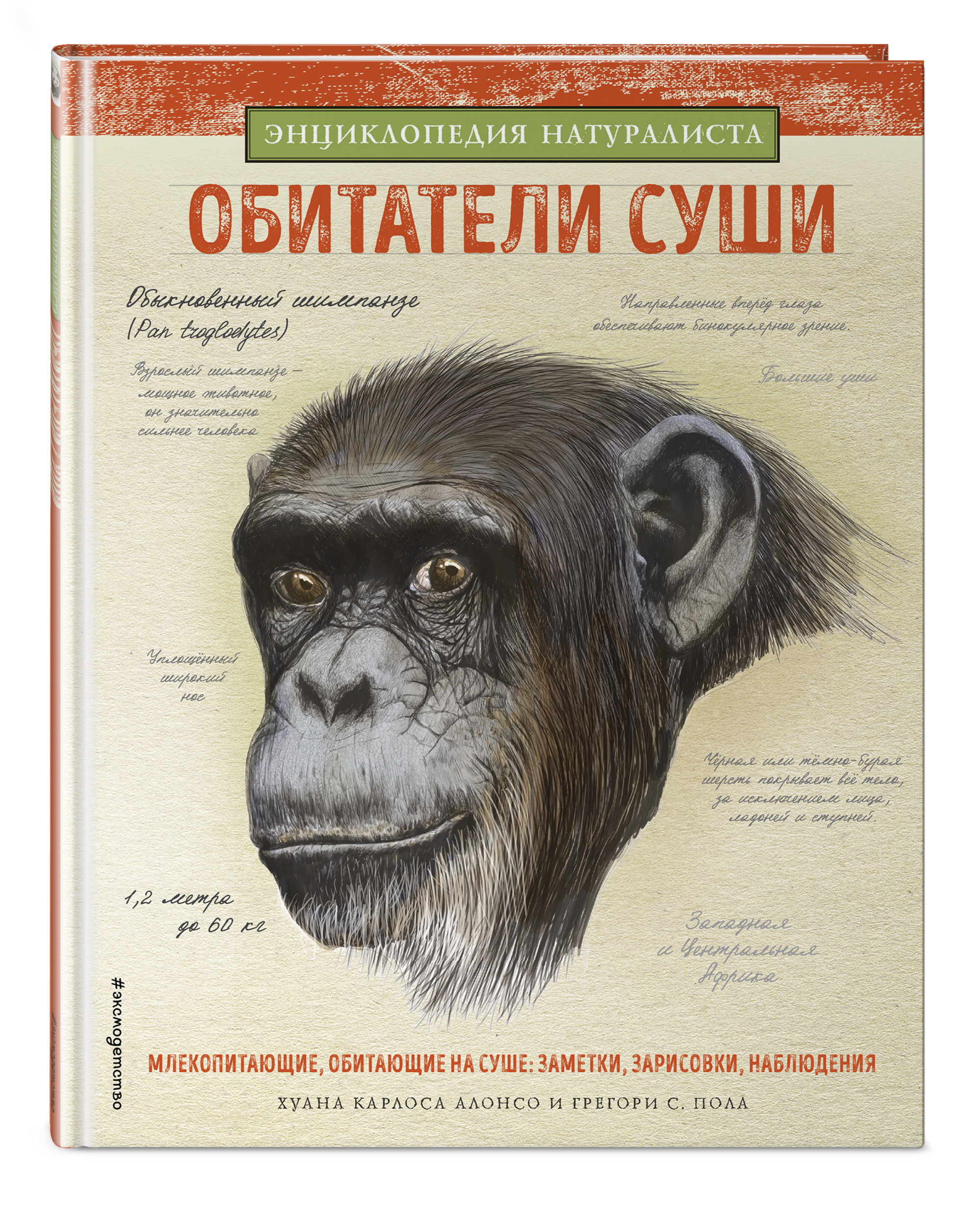 

Животные суши