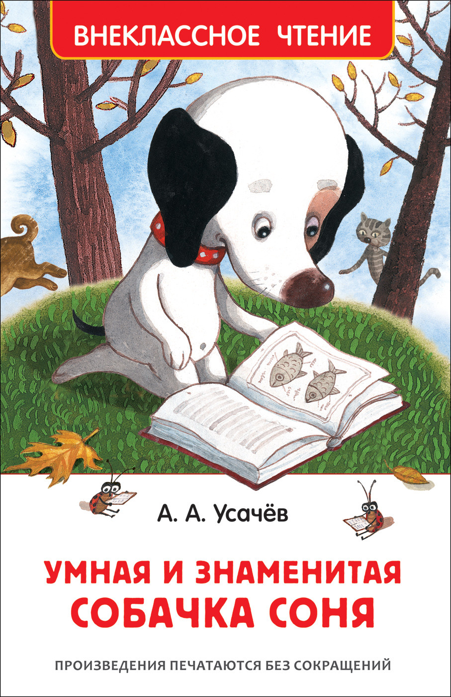 

Умная и знаменитая собачка Соня (4158674)