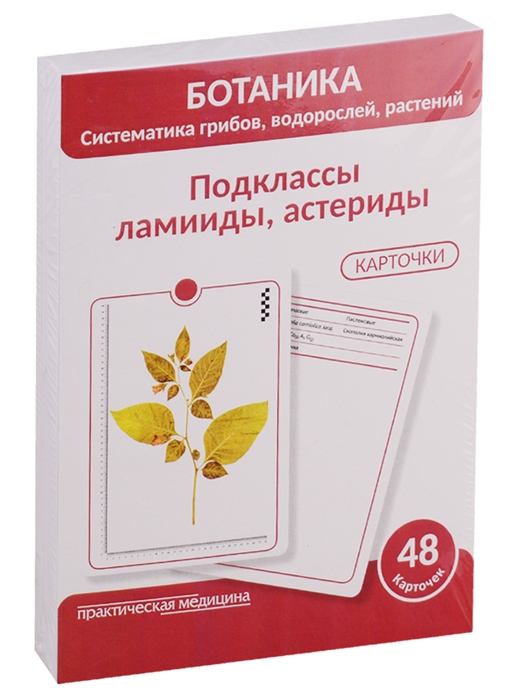 

Ботаника. Систематика грибов, водорослей, растений. Блок 4: Подклассы ламииды, астериды. 48 герберных карточки