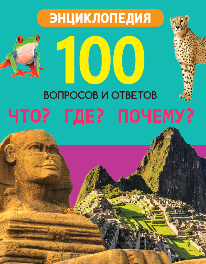 

Что Где Почему (4185363)