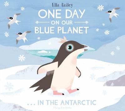 

One Day On Our Blue Planet. In The Antarctic
