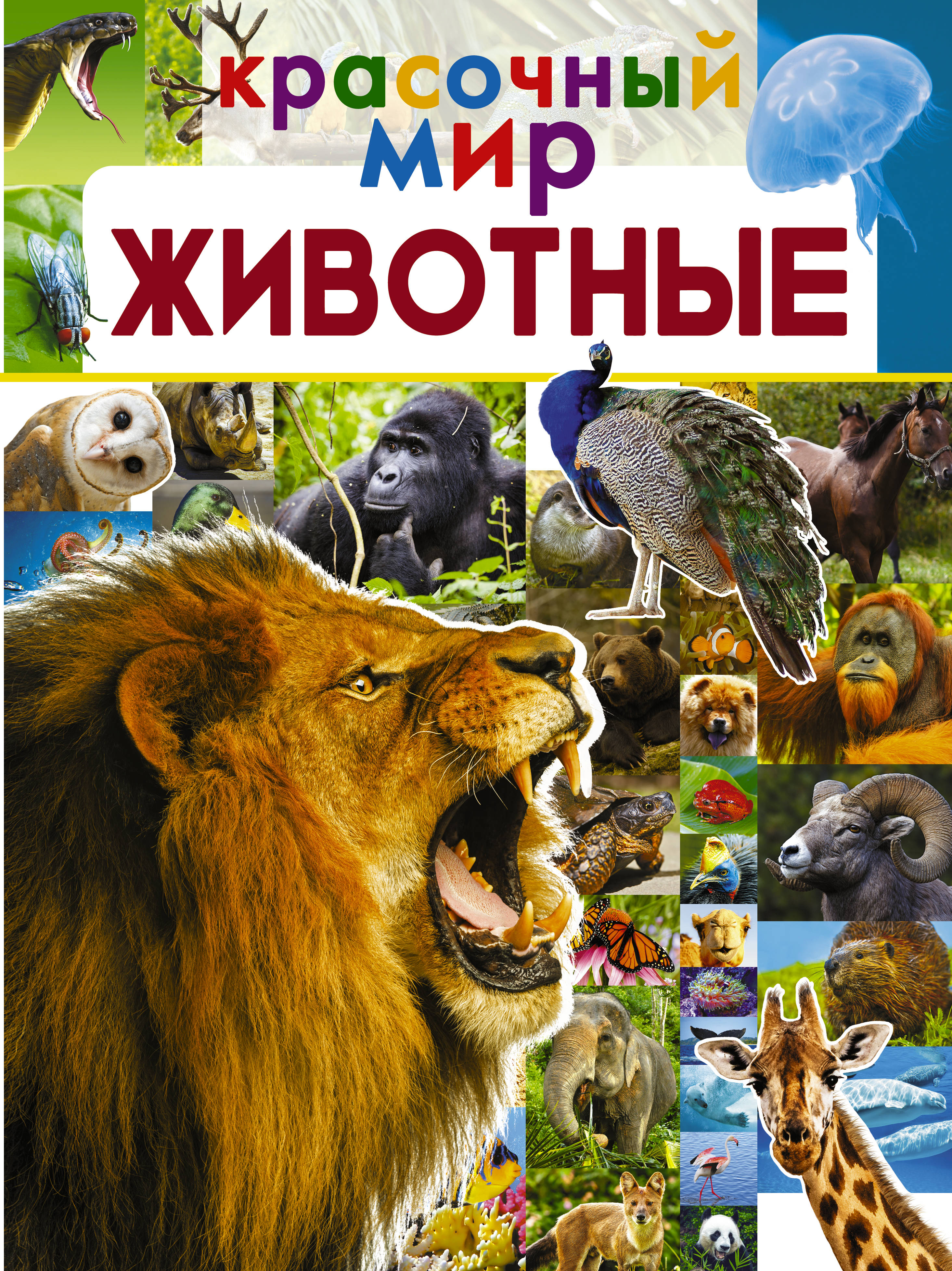 

Животные (2754206)