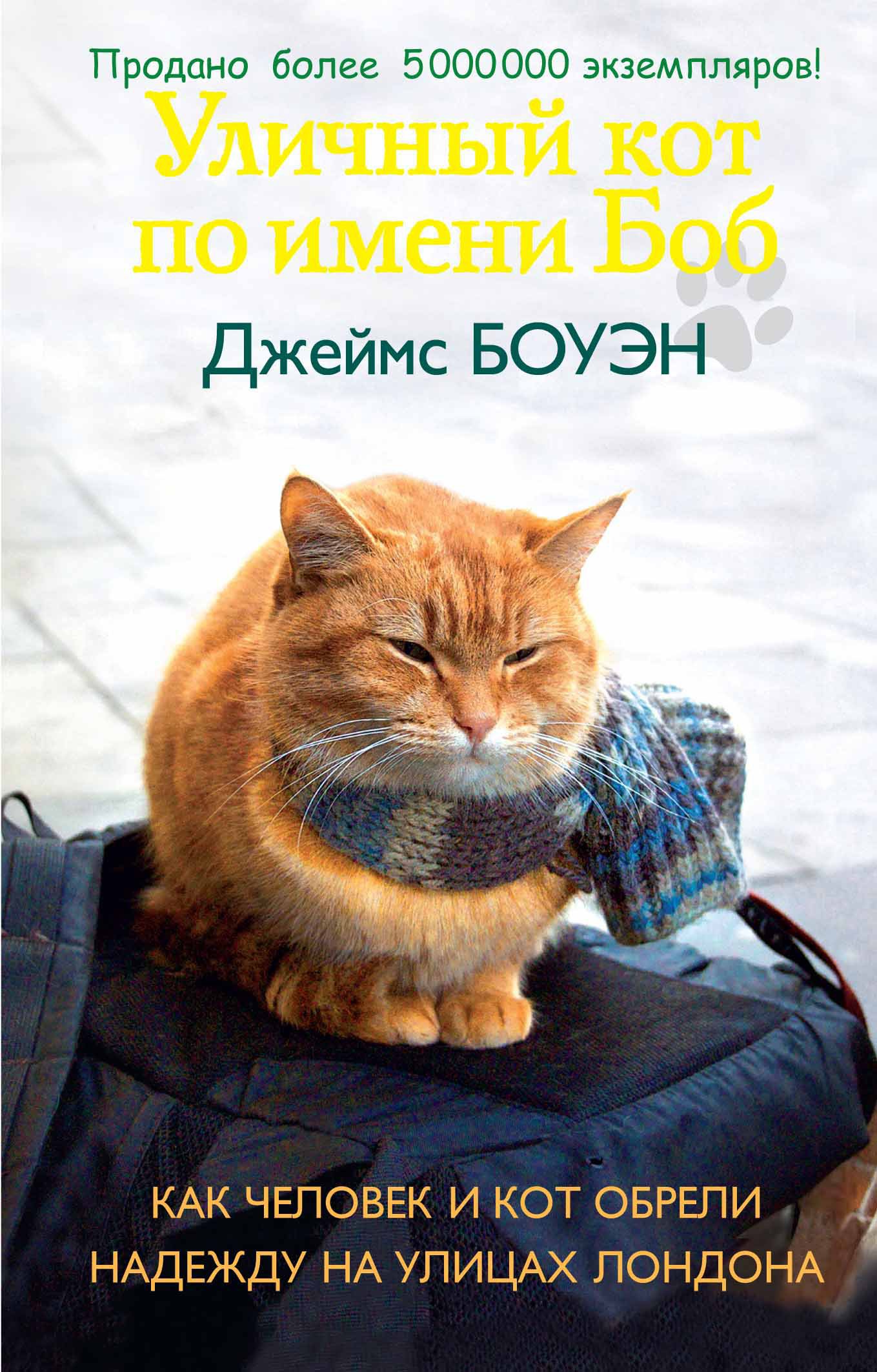 

Уличный кот по имени Боб. Как человек и кот обрели надежду на улицах Лондона (1724503)