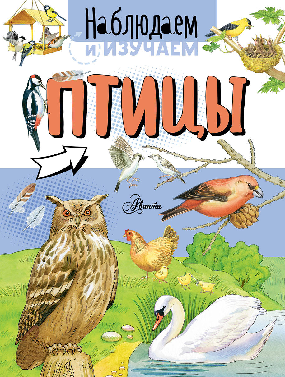 

Птицы (1775475)