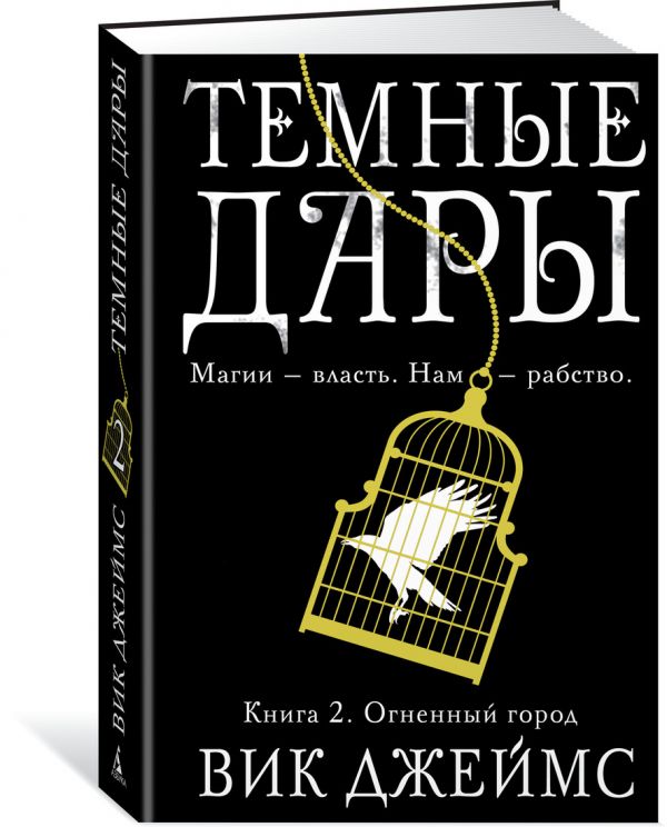 

Темные Дары. Книга 2. Огненный город