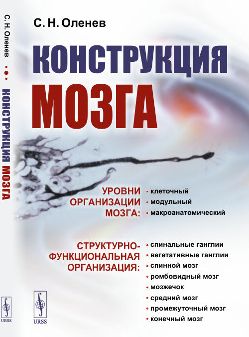 

Конструкция мозга (4335143)
