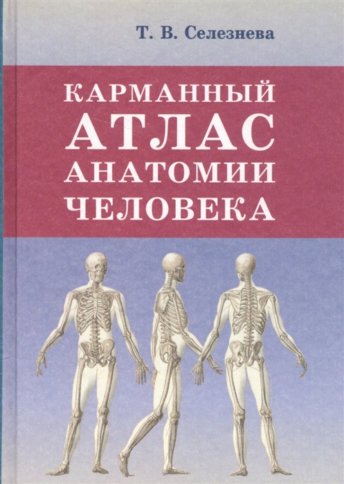 

Карманный атлас анатомии человека (1653520)