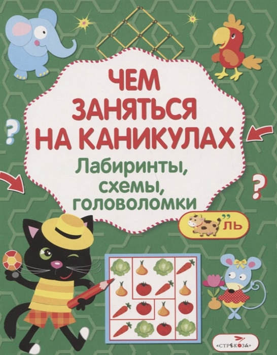 

Чем заняться на каникулах Лабиринты, схемы, головоломки. Выпуск 6