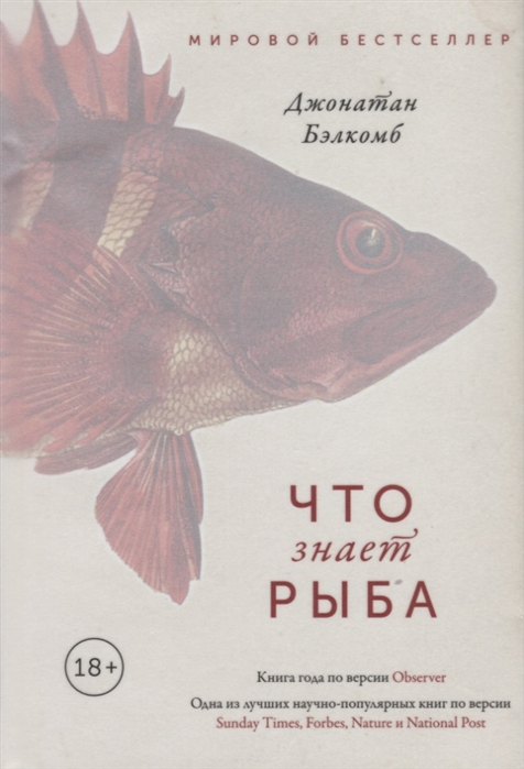 

Что знает рыба