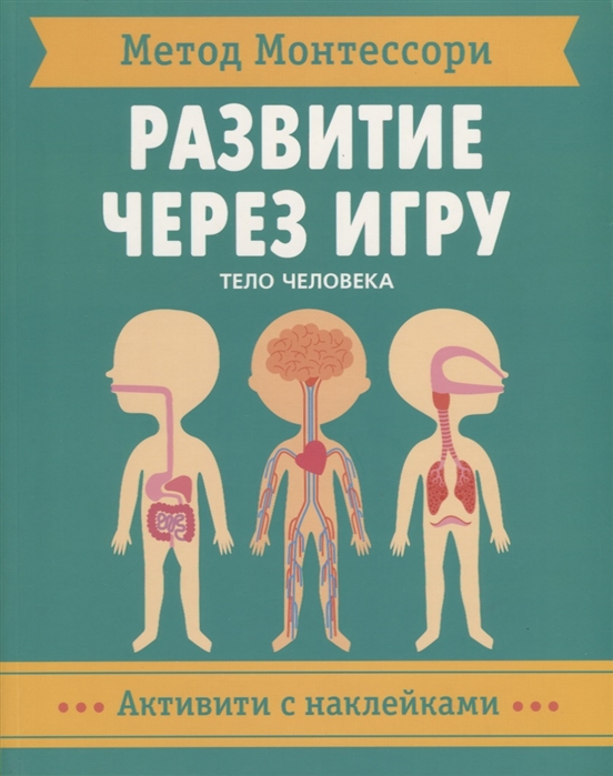 

Метод Монтессори. Тело человека. Развитие через игру
