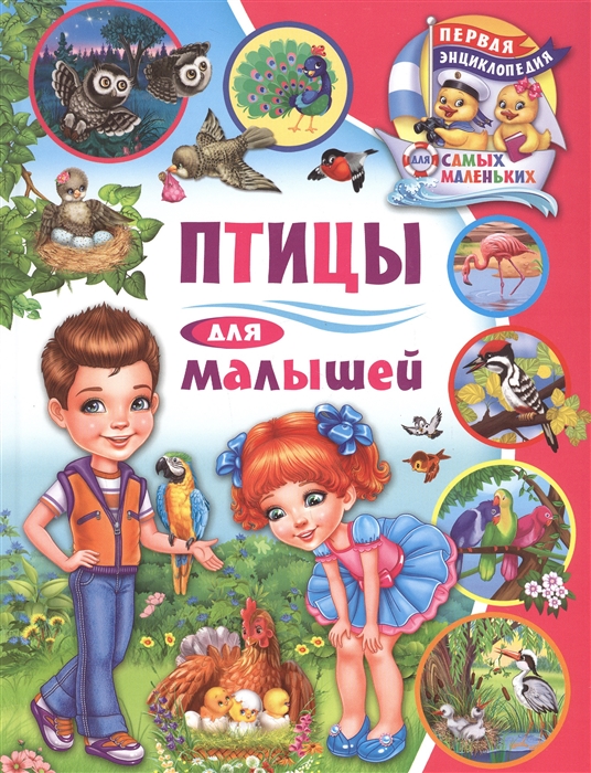 

Птицы для малышей