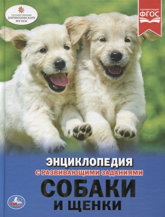 

Собаки и щенки (4106450)