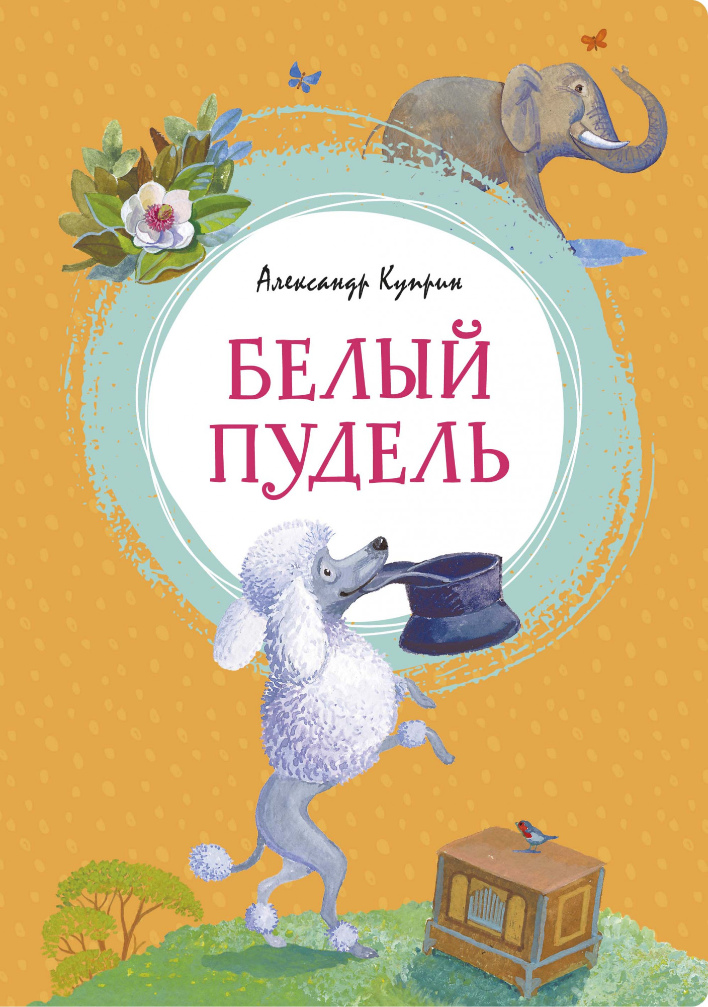 

Белый пудель (4172833)