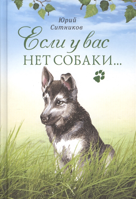 

Если у вас нет собаки... (1290772)