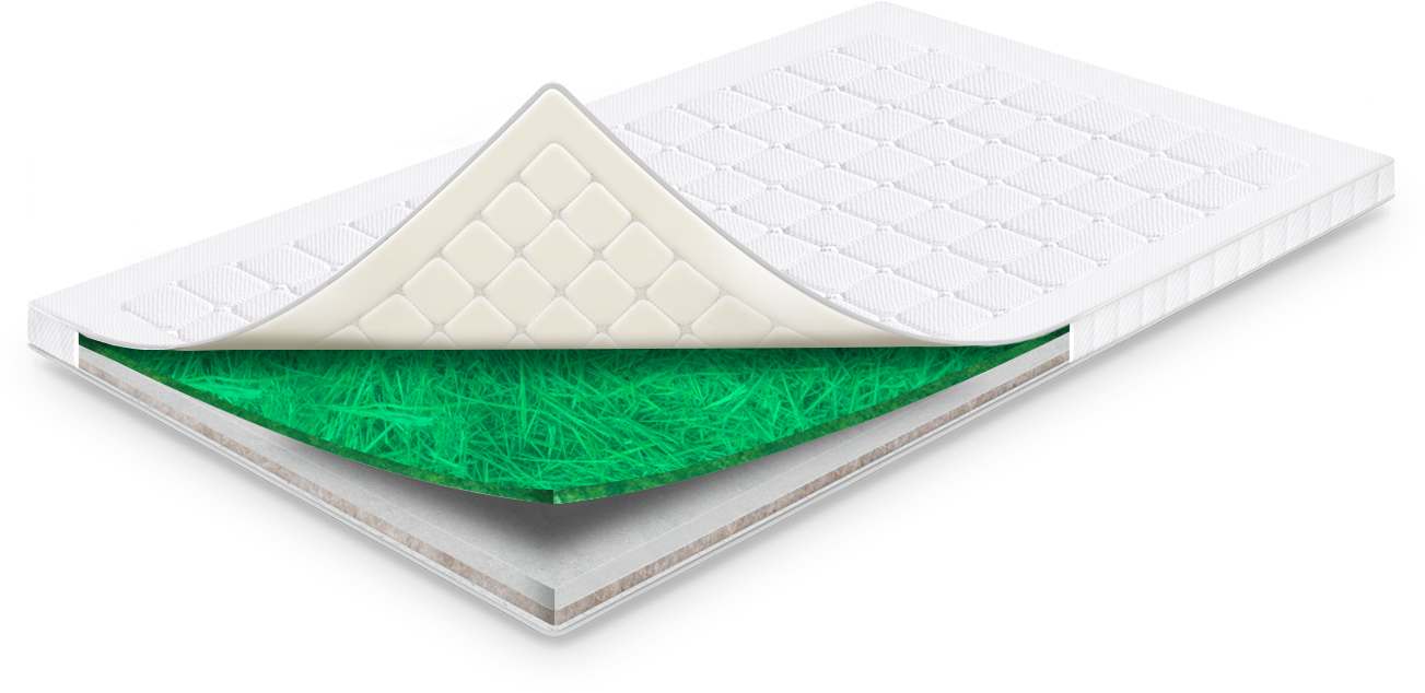 

Топпер Sharm SisaLim Фикус 80х160 см