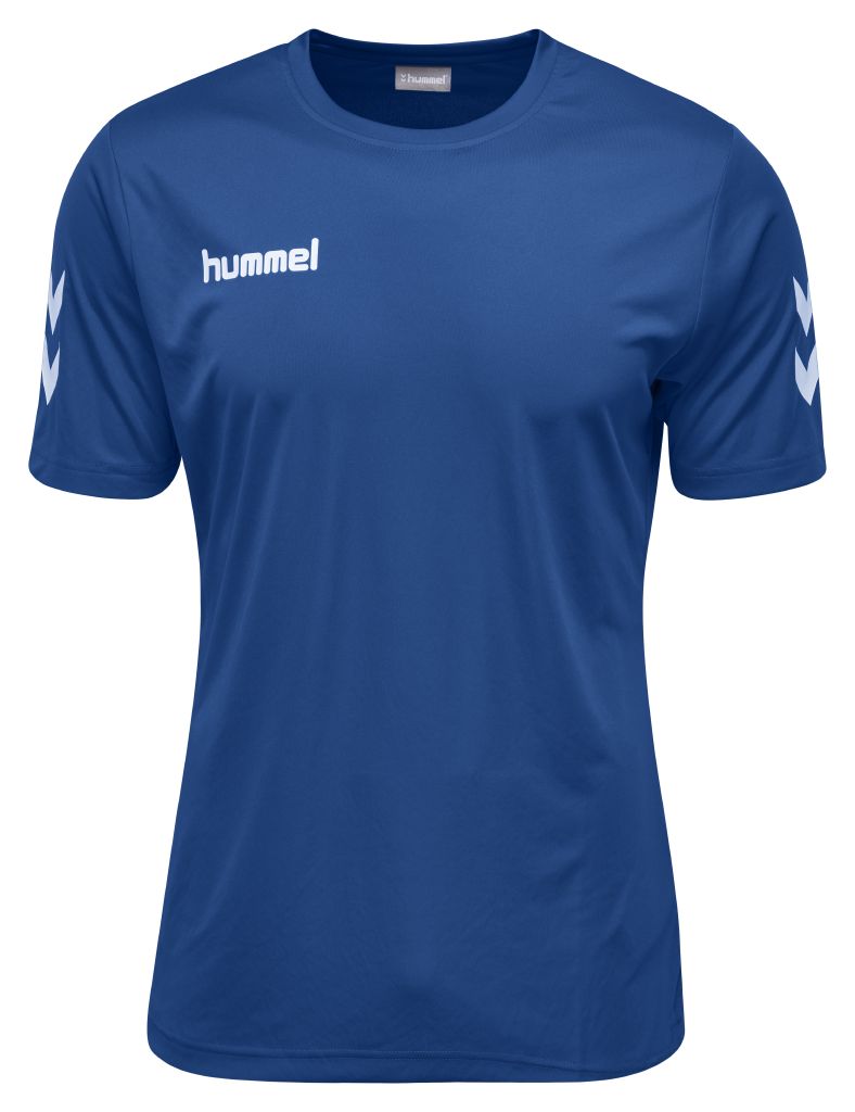 

Футболка Hummel CORE POLYESTER TEE L СИНИЙ (003-756-7045-L)