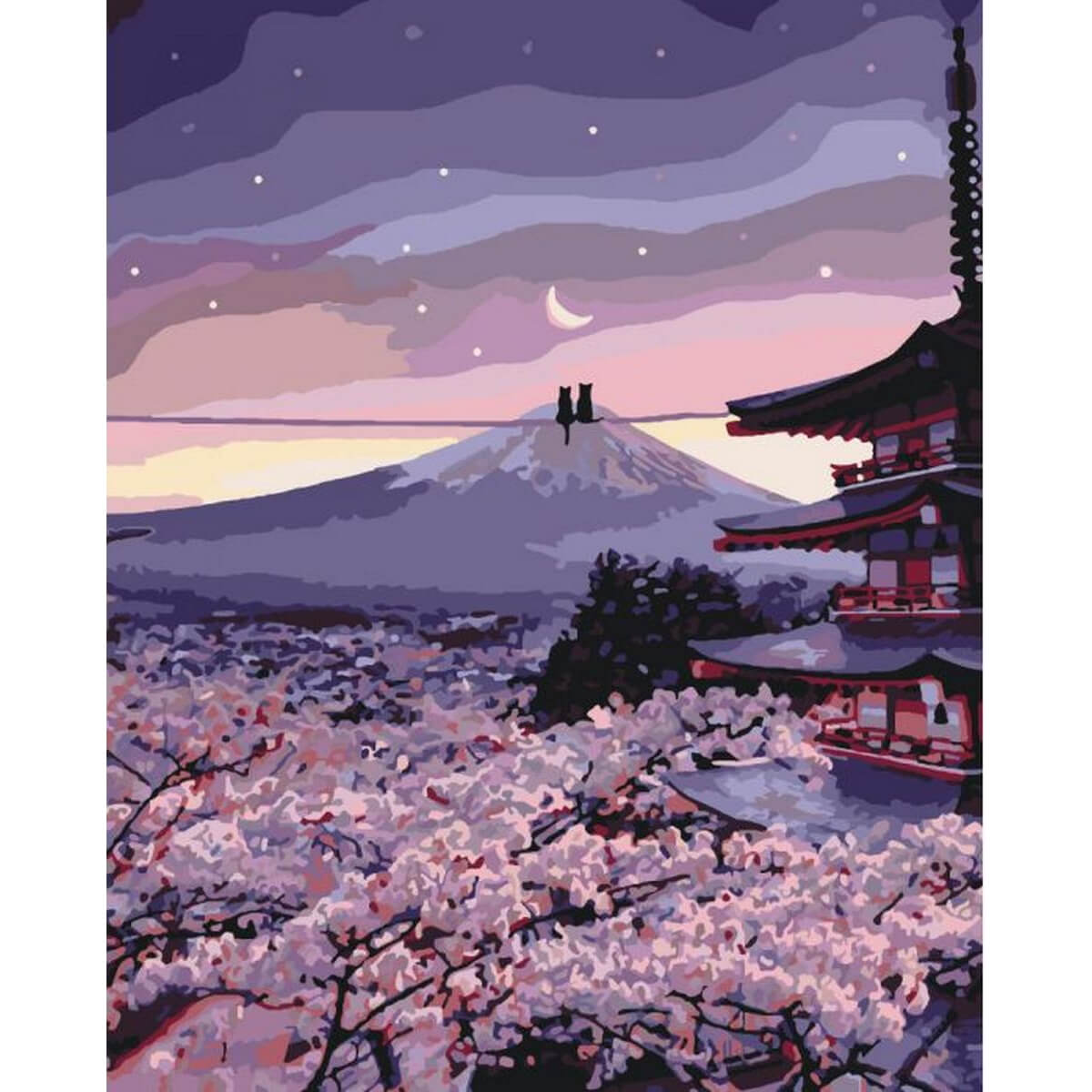 

Картина по номерам «Волшебная пара» 40*50 см Идейка (KHO3527)