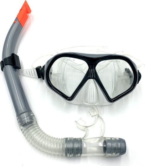 Акция на Набор для плавания (маска и трубка) Newt DOLphin VORtex NE-SW-95-GR Серый (2000000017150) от Rozetka UA