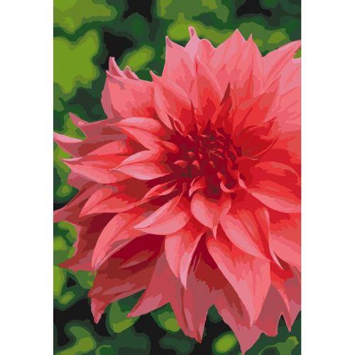 

Картина по номерам "Волшебный георгин" ★★★ КНО3053