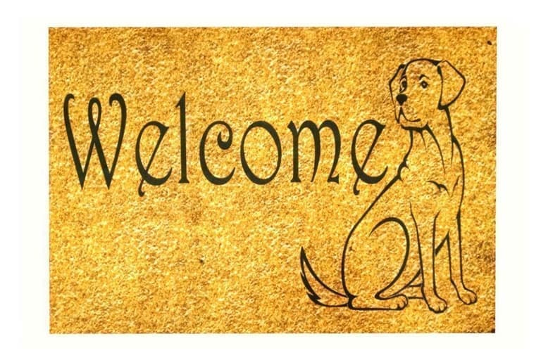 

Коврик Izzihome придверный PEPPINA KAPI WELCOME DOG 40*60