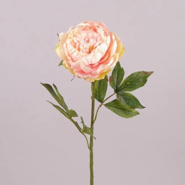 

Цветок Пион Flora персиковый 71245