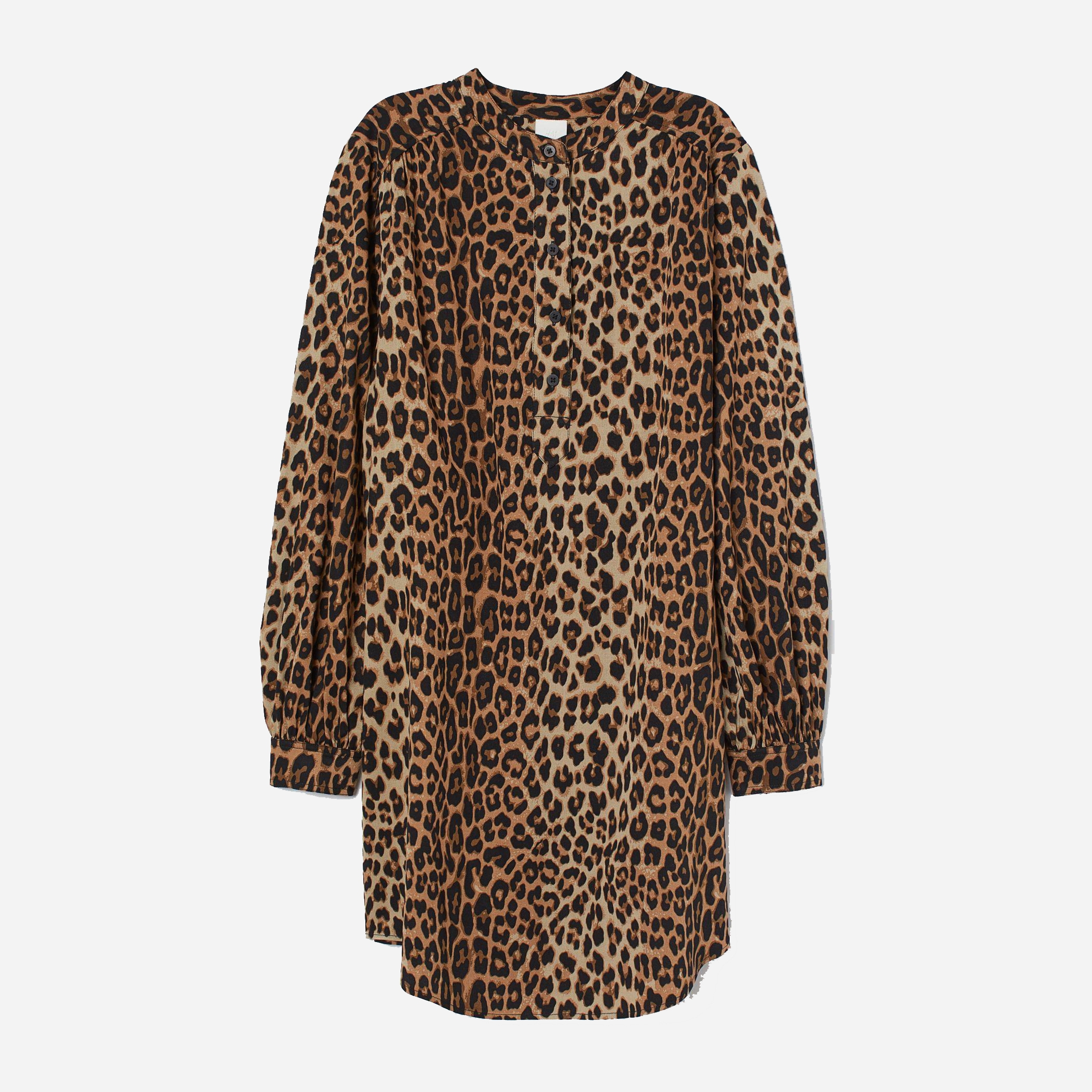 

Платье H&M 8174911-AAON L Леопардовое (DD3000002870318_PS2030000090808)