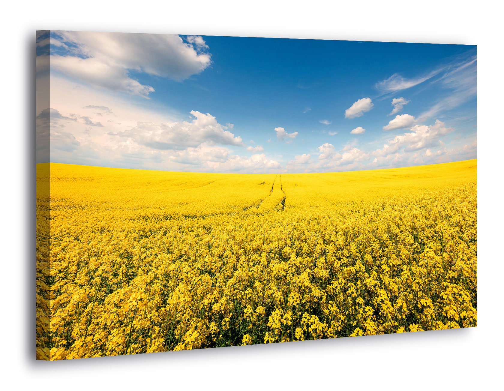 

Картина на холсте YS-Art XP410 120х80см
