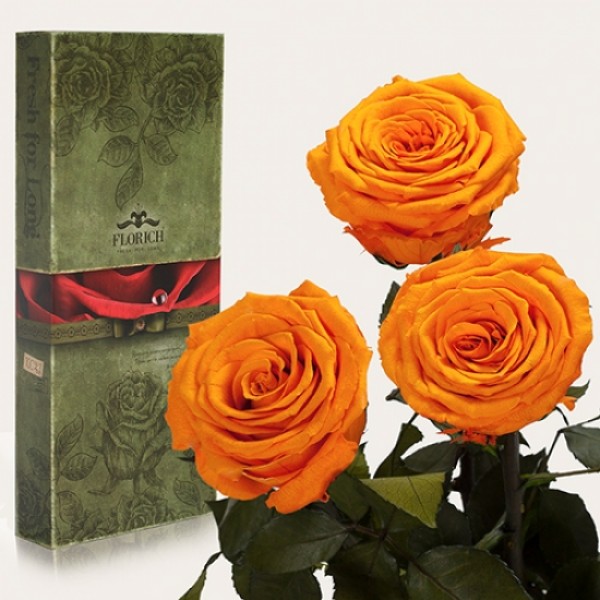 

Три долгосвежих розы Оранжевый Цитрин 5 карат (короткий стебель) FOR Арт.120281