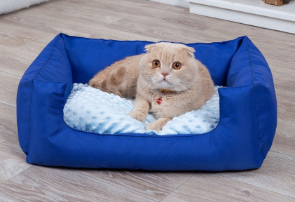 

Лежанка для котов и собак спальное место Комфорт синяя 60х45 см (879543-De)