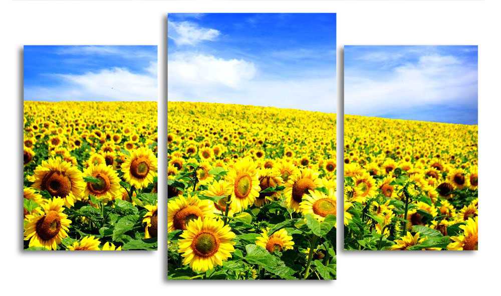

Модульная картина LaPrint Поле подсолнухов 200x117 см