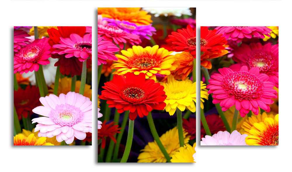 

Модульная картина LaPrint Герберы в саду 200x117 см