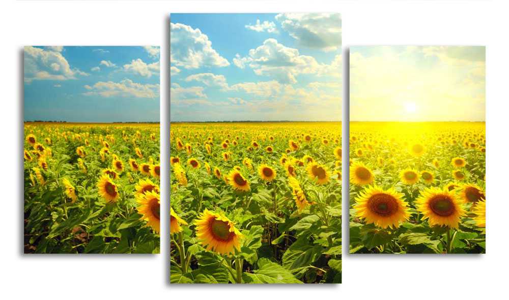 

Модульная картина LaPrint Подсолнухи и солнце 200x117 см