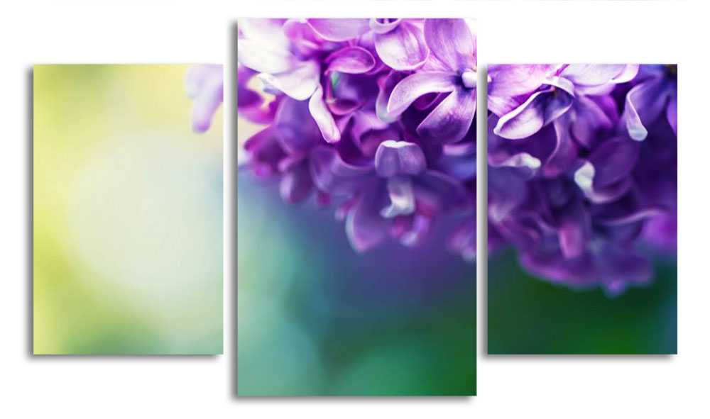 

Модульная картина LaPrint Сирень 200x117 см