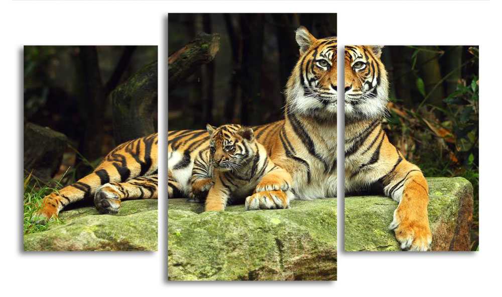 

Модульная картина LaPrint Тигры 200x117 см