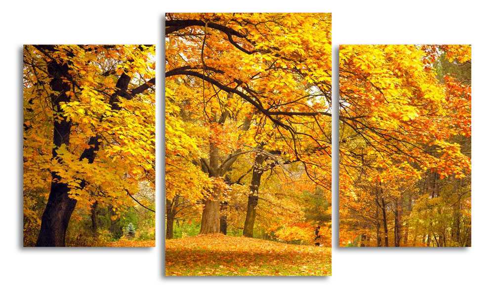

Модульная картина LaPrint Осень в лесу 200x117 см