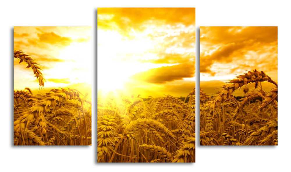 

Модульная картина LaPrint Сенокос 200x117 см