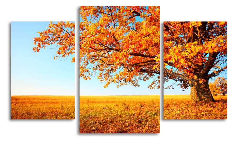 

Модульная картина LaPrint Осеннее поле 200x117 см