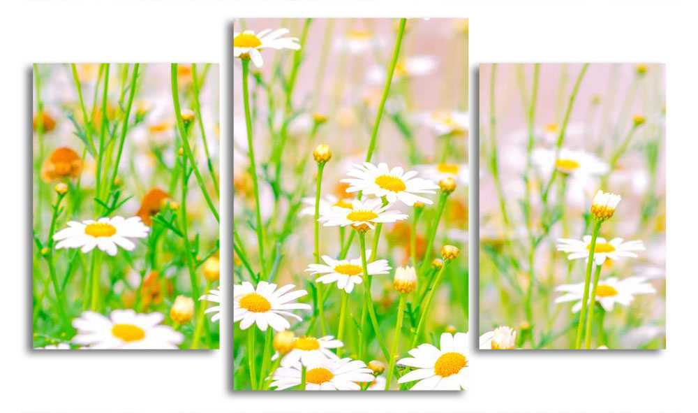 

Модульная картина LaPrint Ромашковое поле 200x117 см