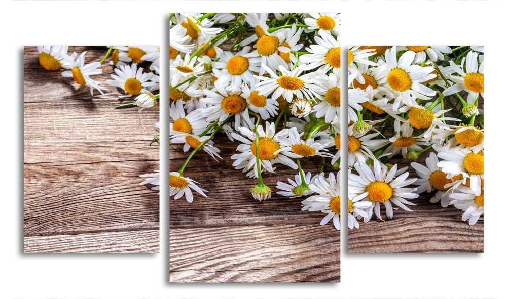 

Модульная картина LaPrint Ромашки на дереве 200x117 см