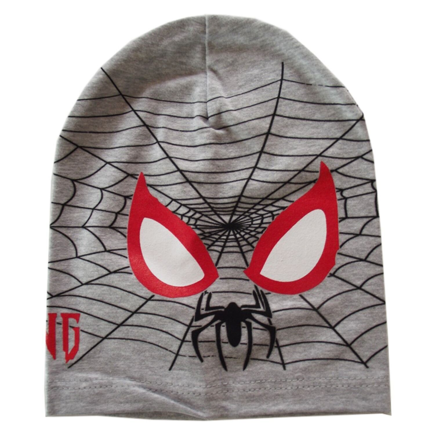 

Демисезонная трикотажная шапка SPYDER BE SNAZZY CDL-121066-LtGray светло-серый 48-54 см (CDL-121066-LtGray-48-54)