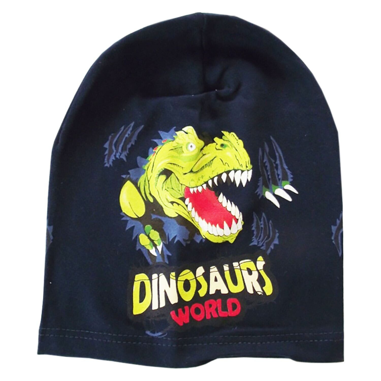 

Демисезонная трикотажная шапка DINOSAURS BE SNAZZY CDL-121056-DkBlue темно-синий 48-54 см (CDL-121056-DkBlue-48-54)