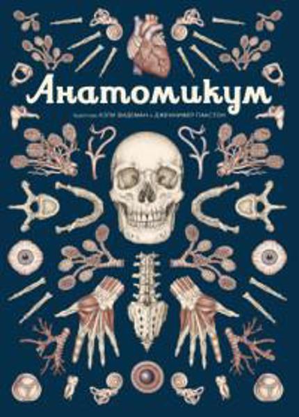 

Анатомикум. Энциклопедия для детей