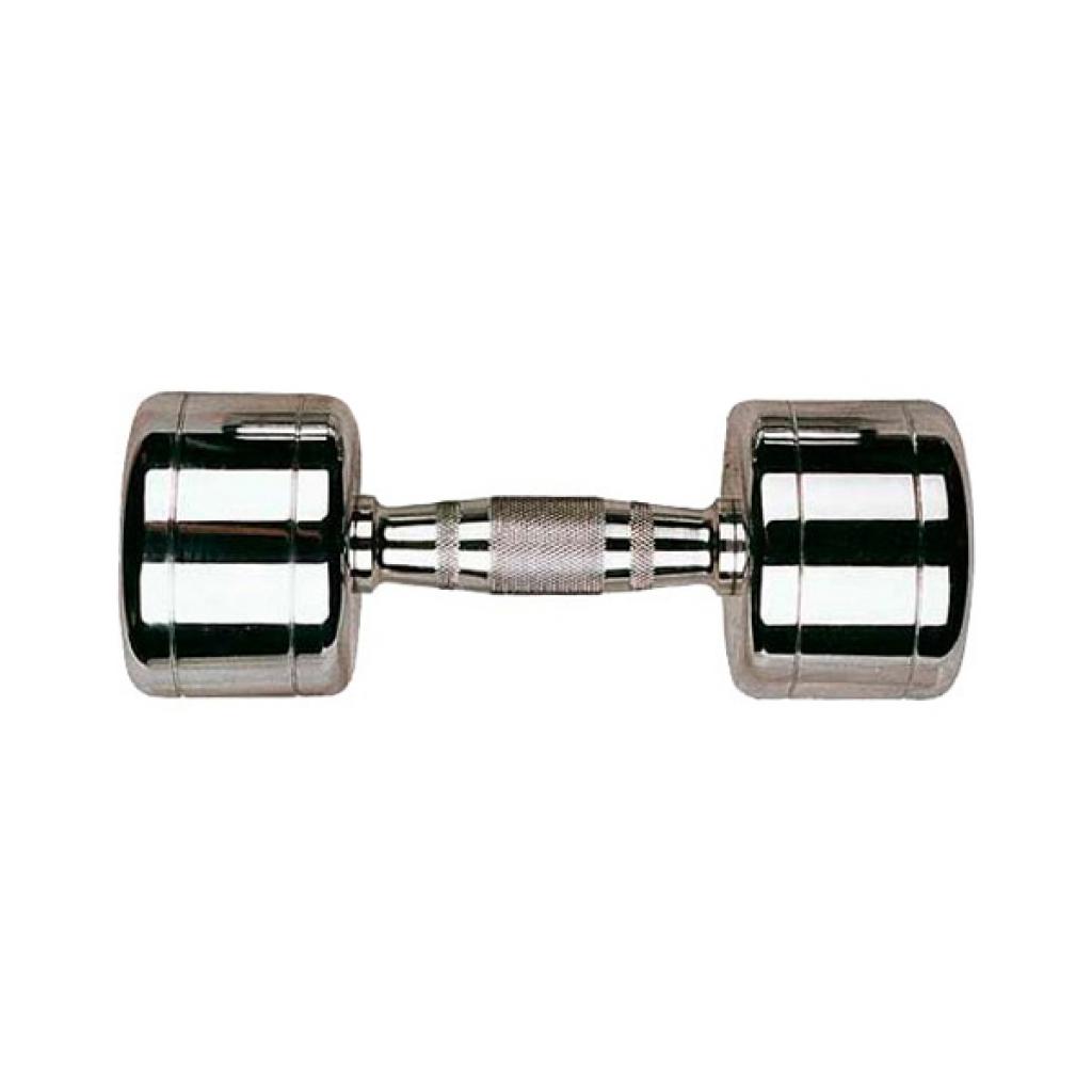 

Гантель Stein Хромированная 6 кг (DB3002-6)