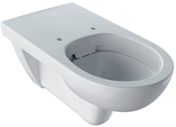 

Унитаз подвесной GEBERIT Selnova Comfort 500.262.01.1 Rimless без сиденья