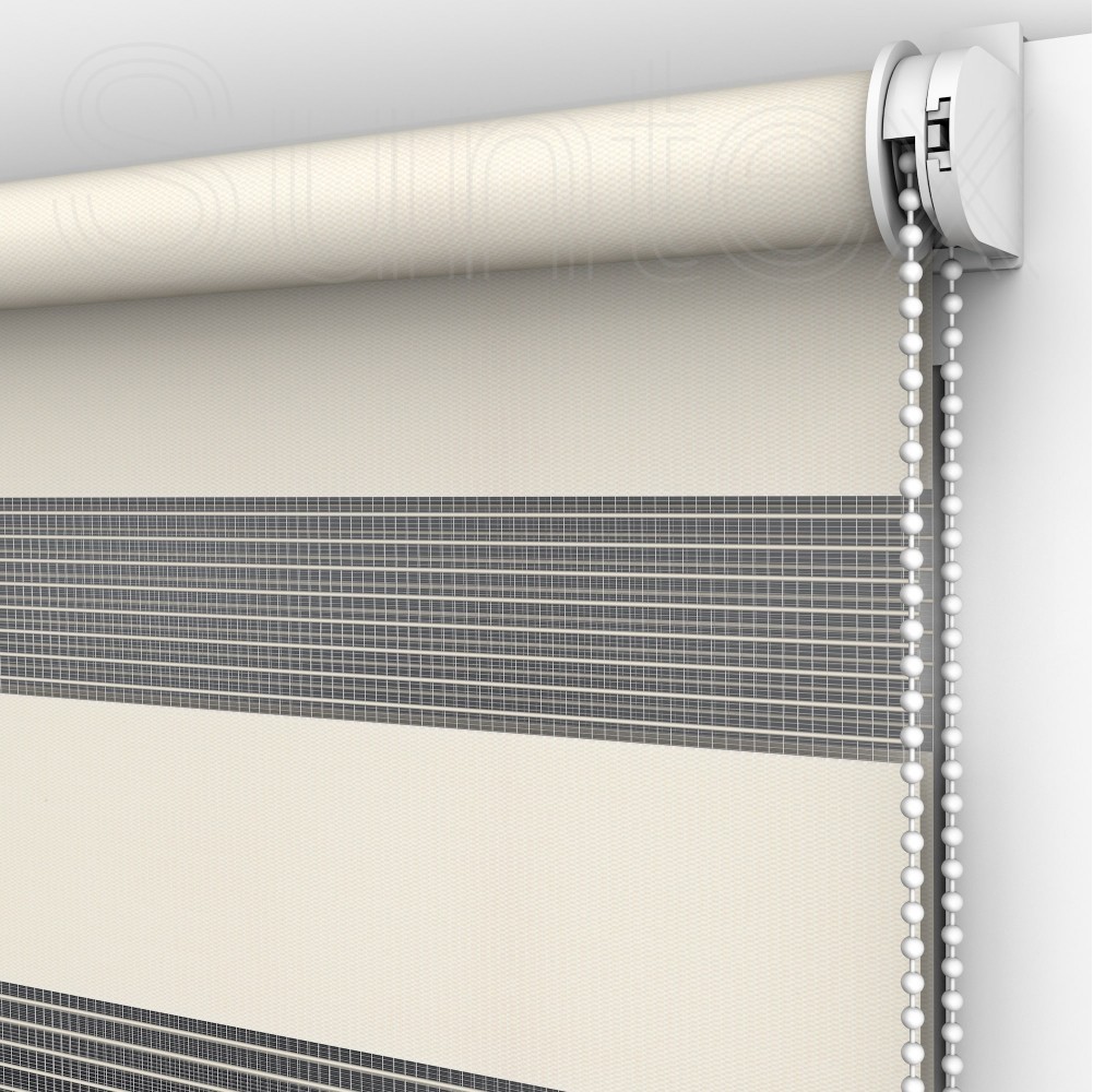 

Жалюзи День-Ночь Classic DN002 Champagne 150 x 160 см