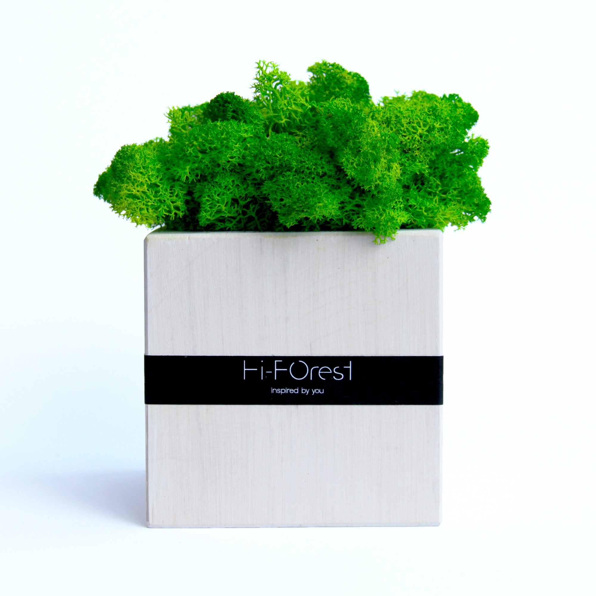 

Настольный эко декор со скандинавским мхом Hi-Forest Cube (белый/зеленый) для дома, офиса, кафе. Деревянный куб 9х9х9 см. Подарочная упаковка.