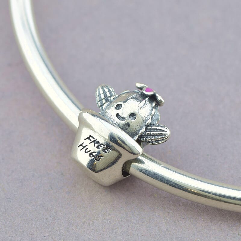 

Шарм Кактус. Free Hugs Pandora style 102804